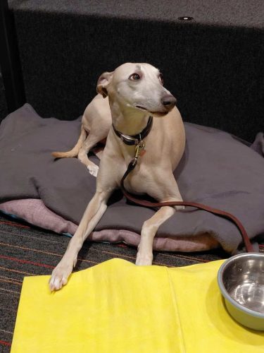 75aec219-b2b7-4801-9d4e-f19c35f3404b